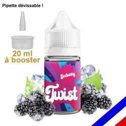 E-liquide Twist 50/50 à booster Ice Berry - Mûres sauvages - 20 ml