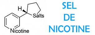 Sel de Nicotine